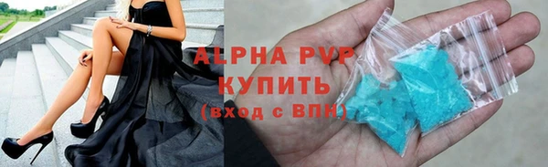 СК Бронницы