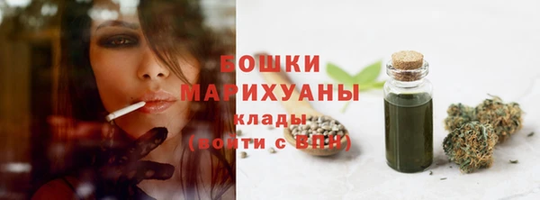 СК Бронницы
