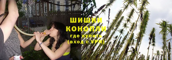 СК Бронницы
