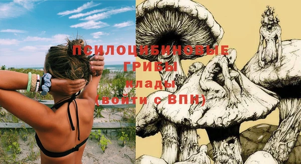 гидропоника Бородино