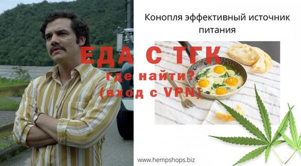 гидропоника Бородино