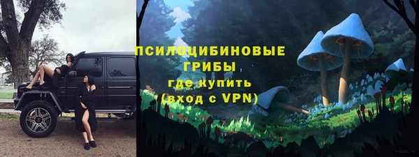гидропоника Бородино