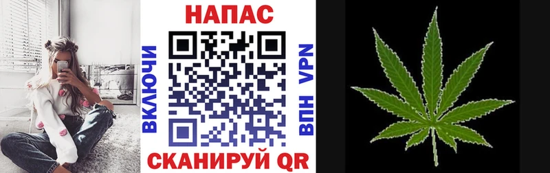 МАРИХУАНА индика блэк спрут Армавир